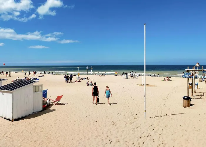 Appartement Luxurious In With Wifi